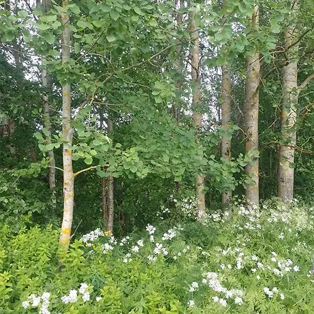 Lägenhet Windy Trees Tornio